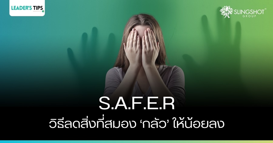 "ยาแก้ปวดใจ" และหลักการของ S.A.F.E.R