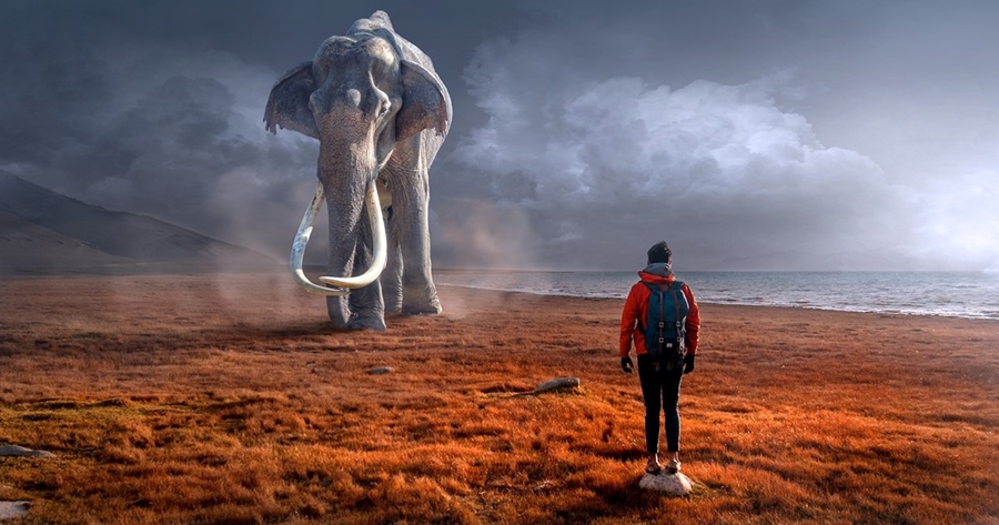  เทคนิคการใช้ 36 กลยุทธ์ของซุนวู ในการทำงาน (ตอนจบ)