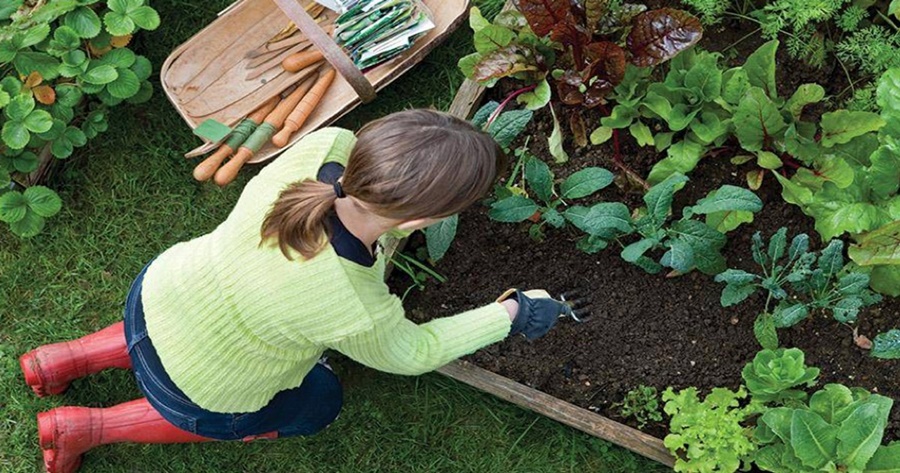 ประวัติศาสตร์อนาคต Future History