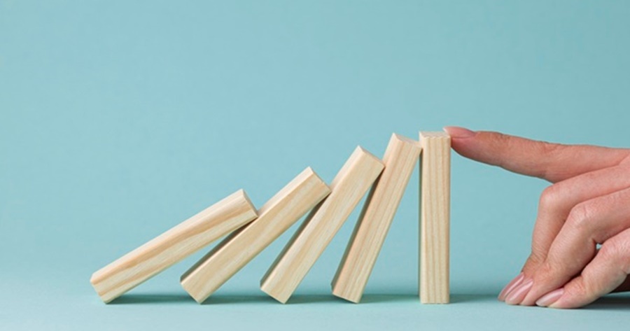 ชีวิต 4 ประเภท