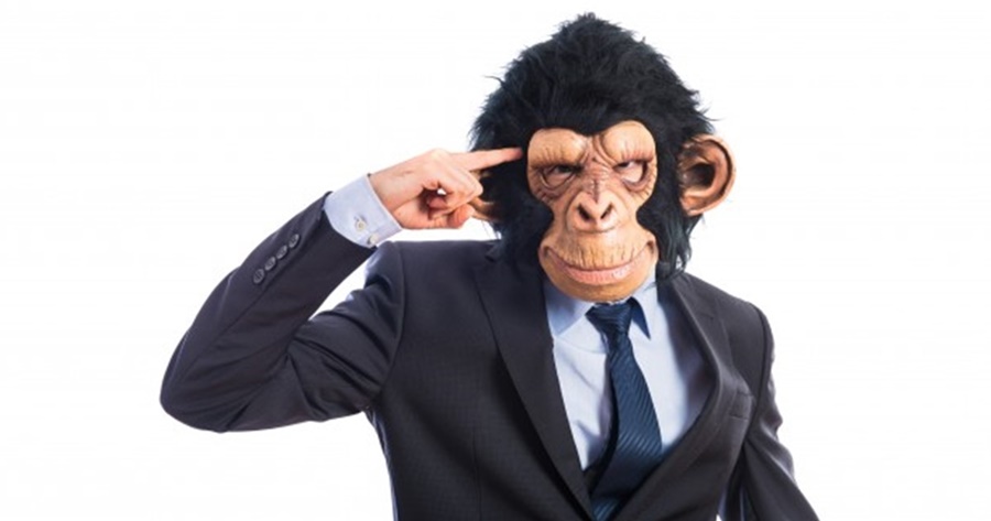 ยอดเขาแห่งความโง่