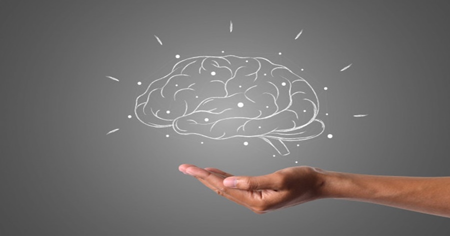 'สมอง' ของผู้นำ